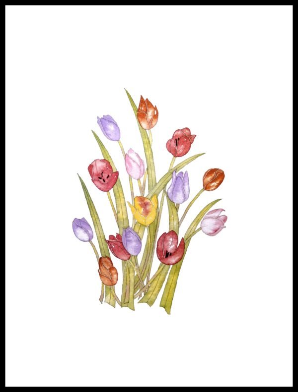 AIM 662 Tulips (S/N LIMITED EDITION)